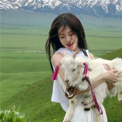 《第阿诺亚战场》封面